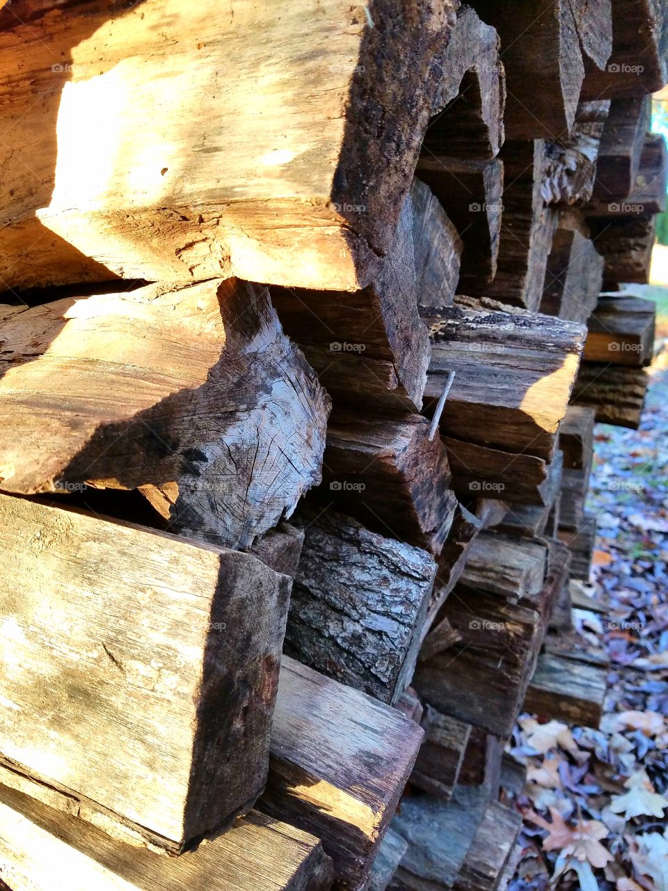 firewood.