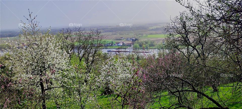 This is the view from the top of the “Bogenberg”, a small mountain in the vicinity of the township of “Bogen” showing the river “Danube” or “Donau” winding its way through the valley. 2024. Hypnotic Productions