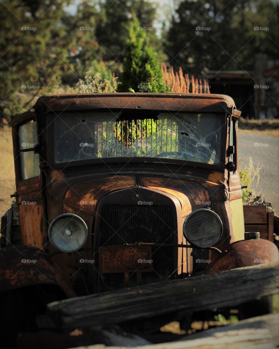 Rusted old car near roadside