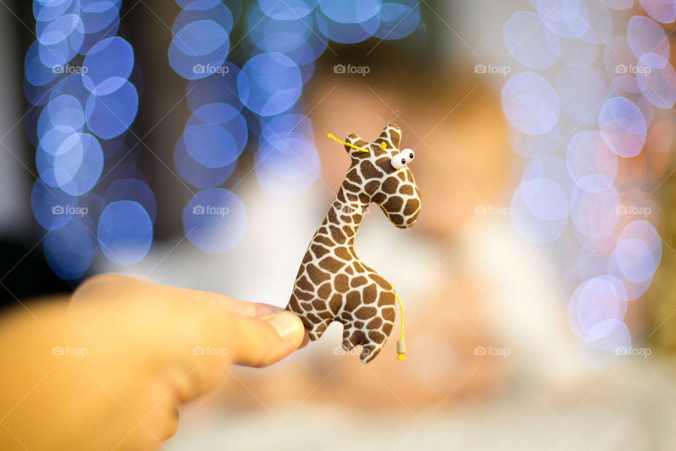 Close-up of a child holding small giraffe