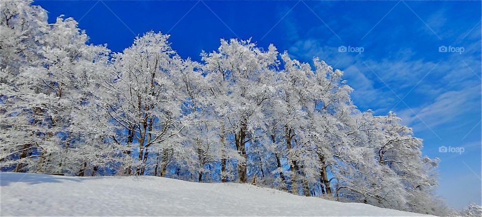 This charming winter scenario comes to us from “Kochel am See”, “Kochel at the Lake”, a small township just north of the “Alps” in “Bavaria”, Germany known for its hot geyser springs and saunas. 2024. Hypnotic Productions