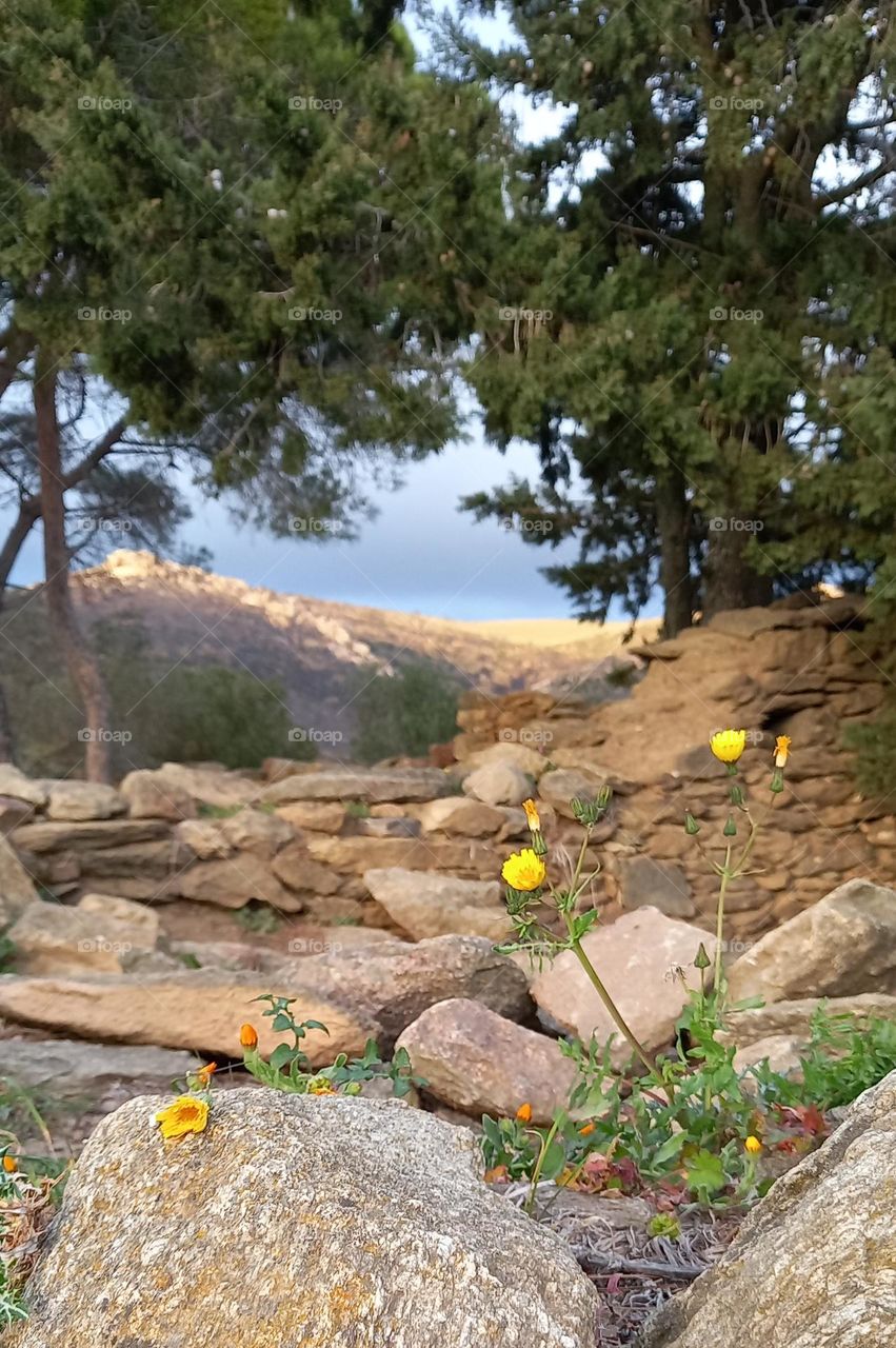 spanish countryside