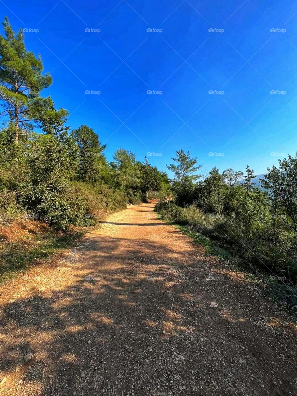 Nature in Haifa