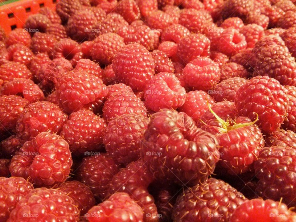 raspberries - red gold. Raspberries are red gold of Serbia. In Valjevo region raspberries are fresh and sweet even in November.