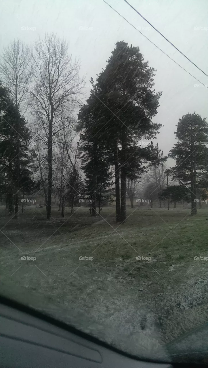 snow