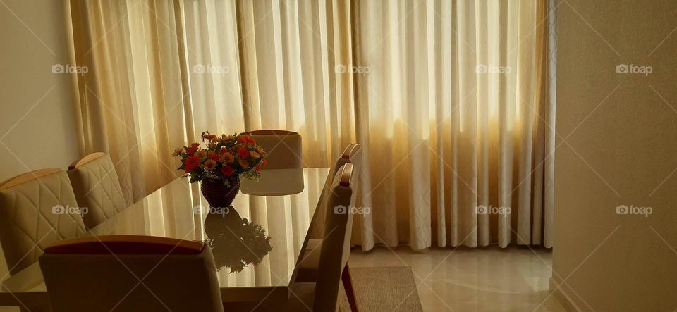 De manhã essa luz enfeita minha copa! De braço dado com a poesia e a esperança!