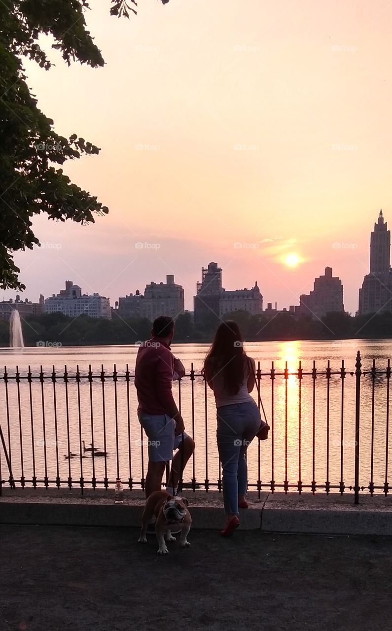 Man Woman Dog NYC Central Park