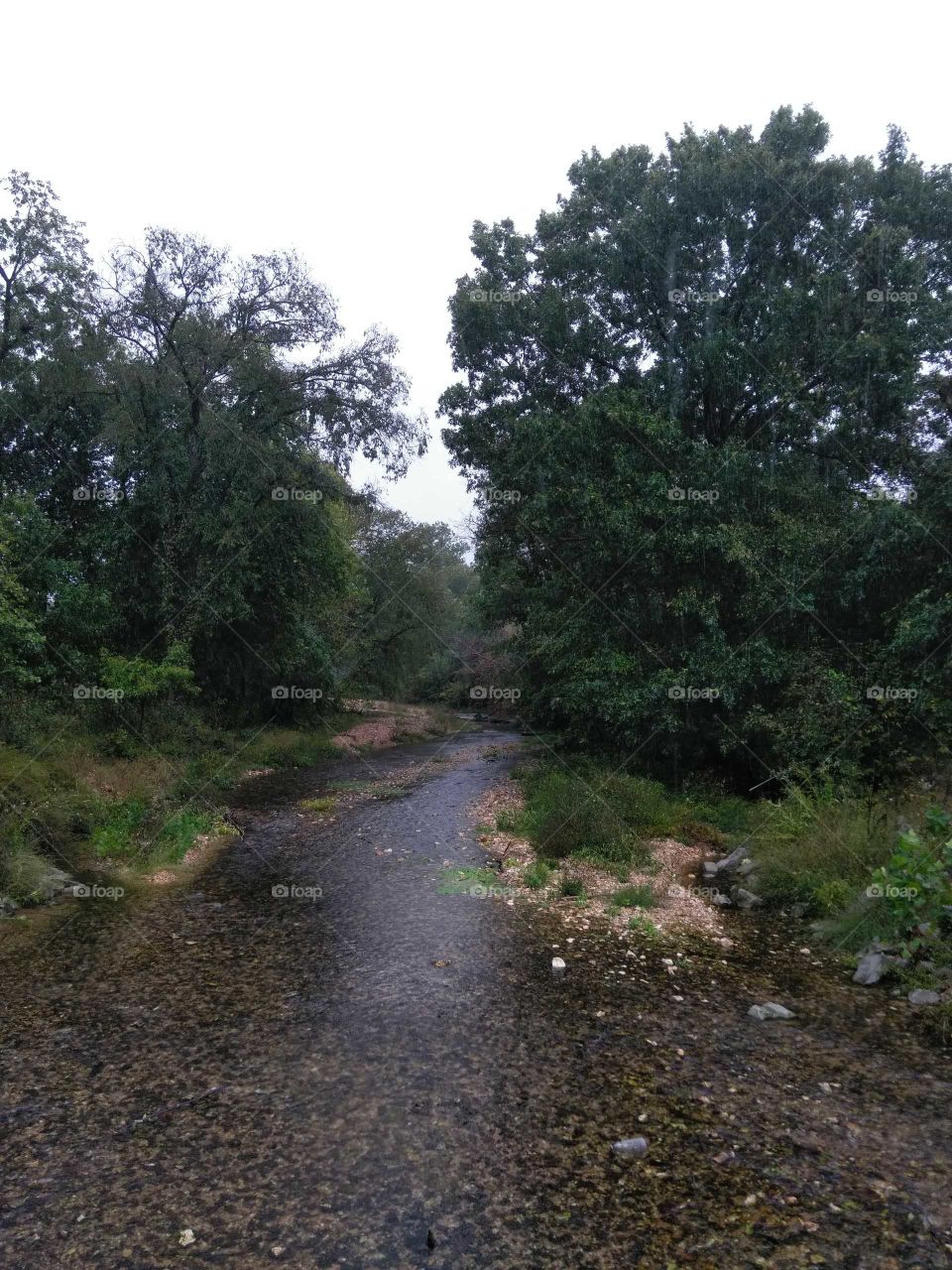 Beautiful Oklahoma creek