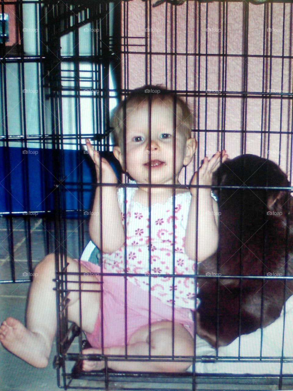 Baby loves to go in dog cage.