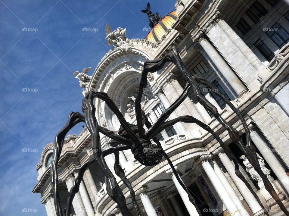 Bellas artes