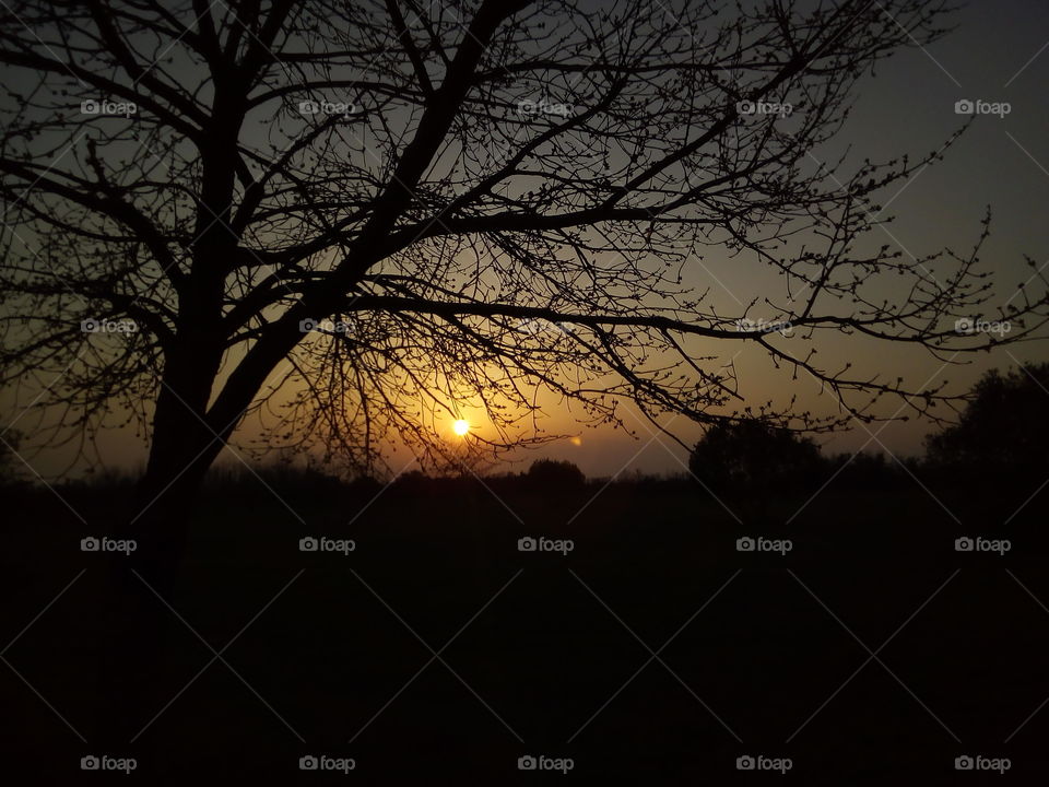 Sunset from the forest.