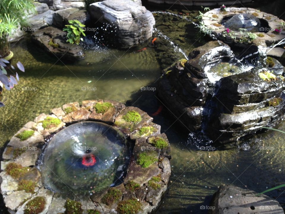 Nashville Opryland Hotel Garden