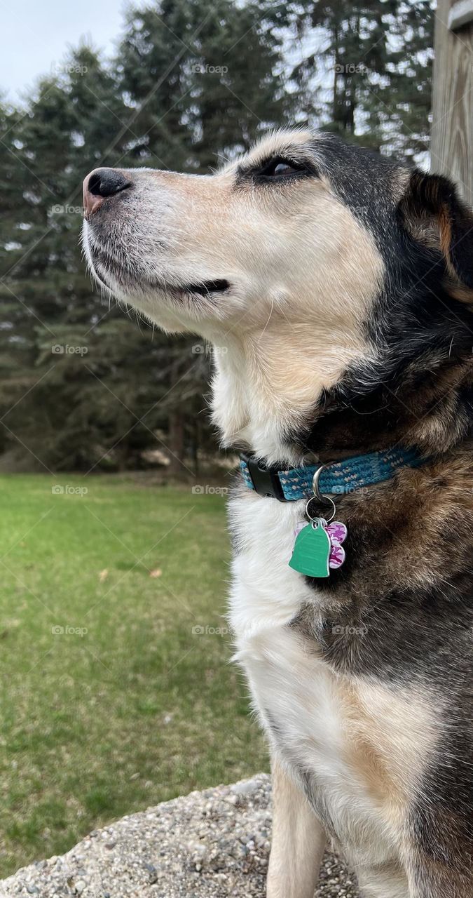 Enjoying being outside