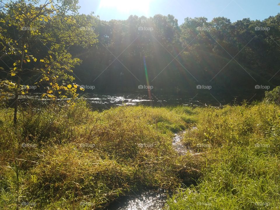 creek in the wood