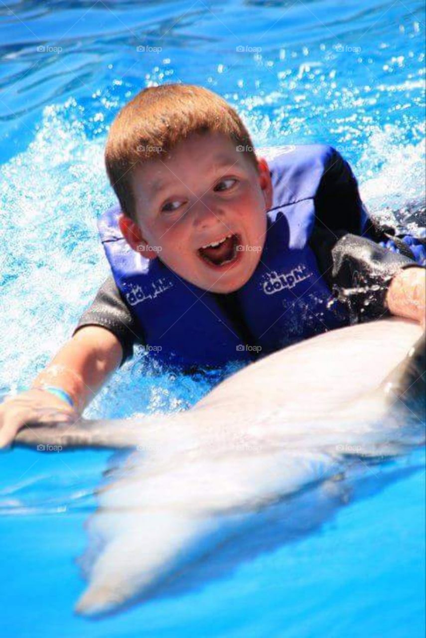 dolphin fun