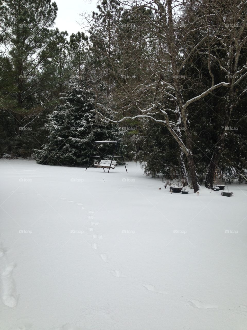 Quiet snowy day in eastern North Carolina
