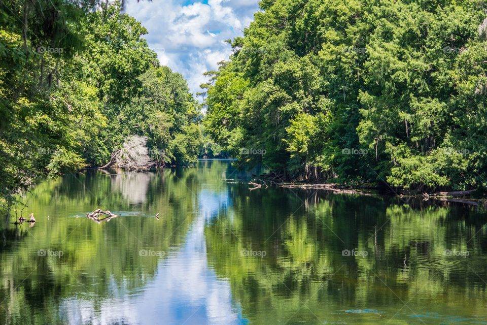 Santa Fe river. Florida