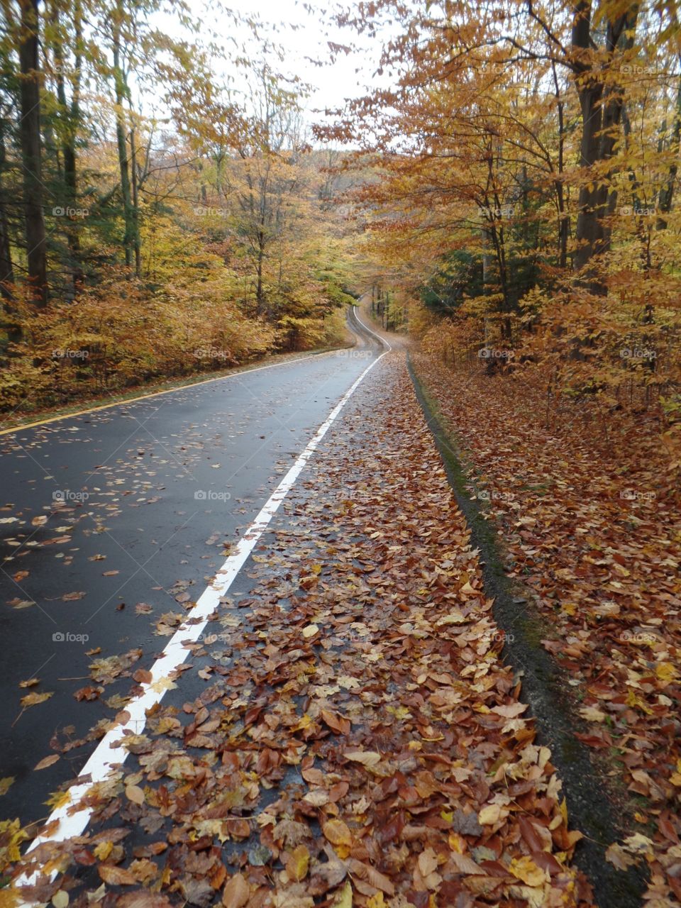 Northern Michigan 