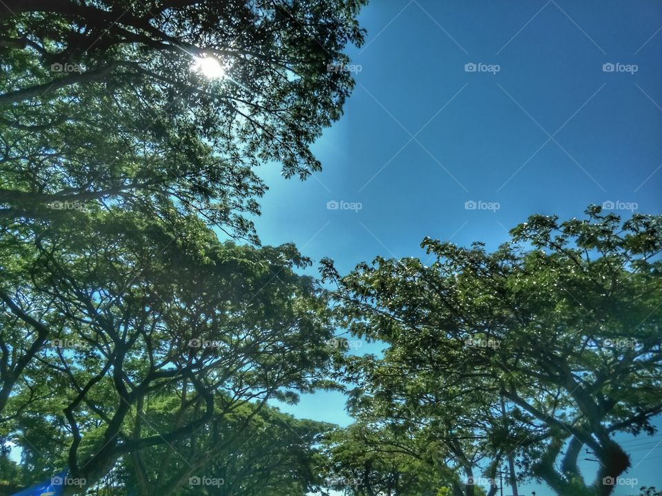 just relax, dont stress!