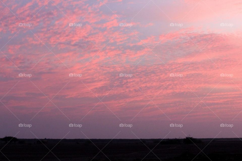 Scattering colours of sky at dusk - in Little Rann of Kutch marshland