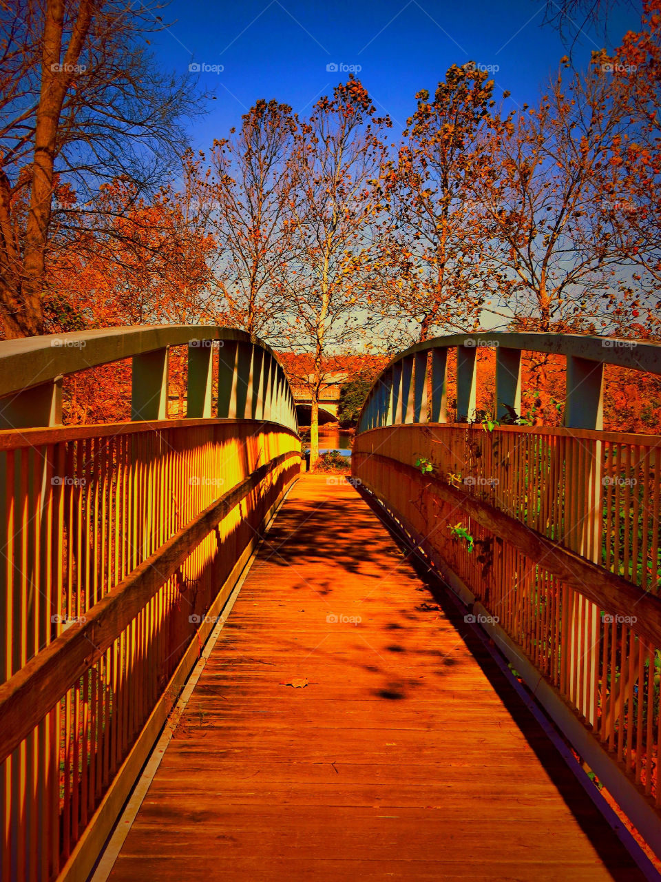 Walking Bridge Through Autumn