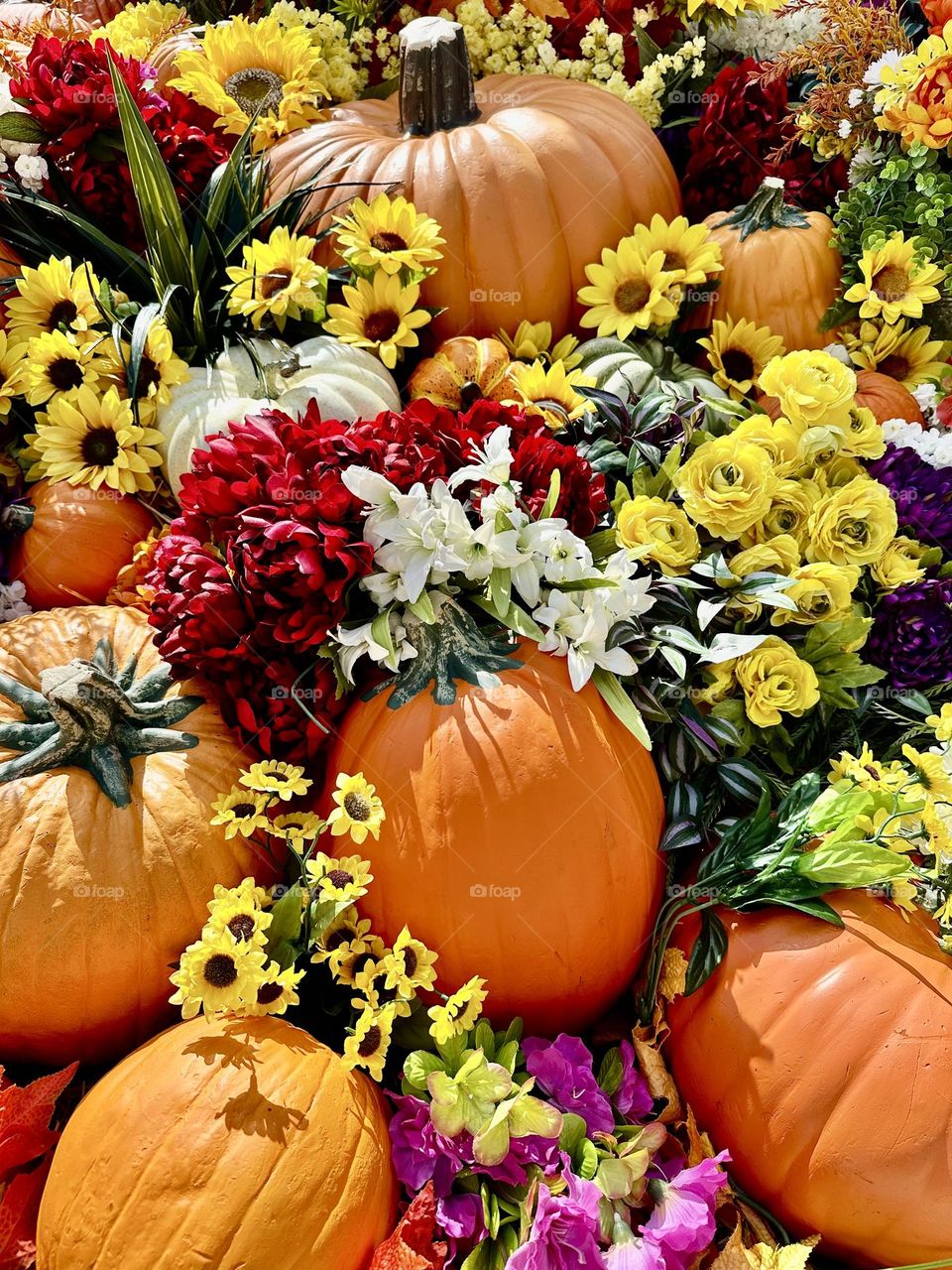 Battle: Summer vs Fall - In the autumn season, the daylight grows shorter, and the temperature starts to become cooler. Leaves on the trees will turn yellow, orange, red and brown during autumn. Pumpkins and flowers are colorful. 