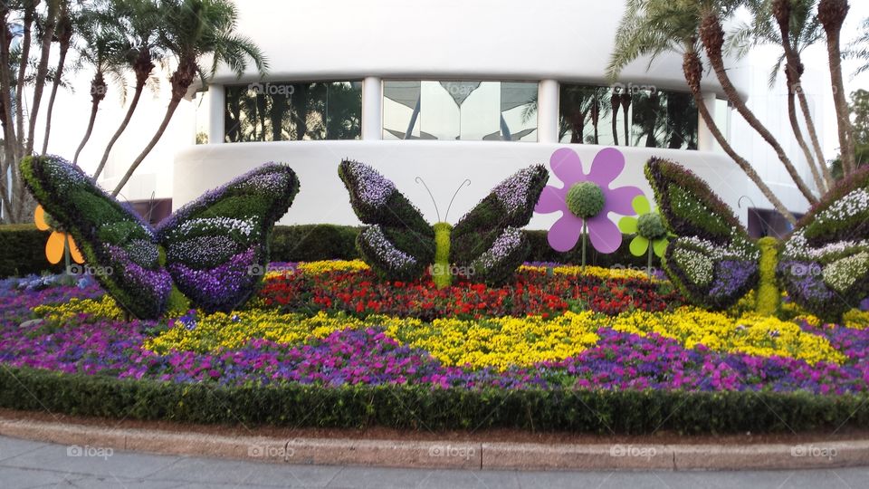 Purple in the Garden