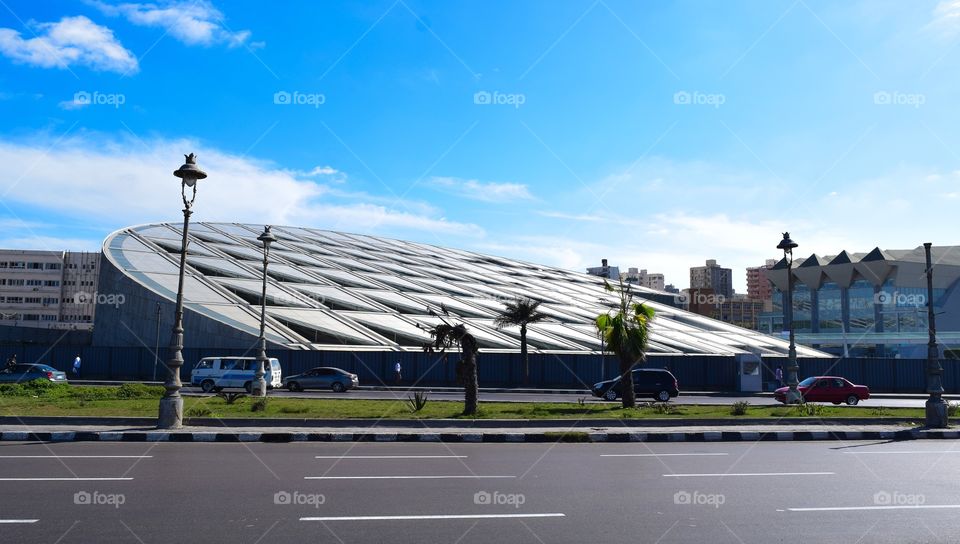 Alexandria Library - Egypt