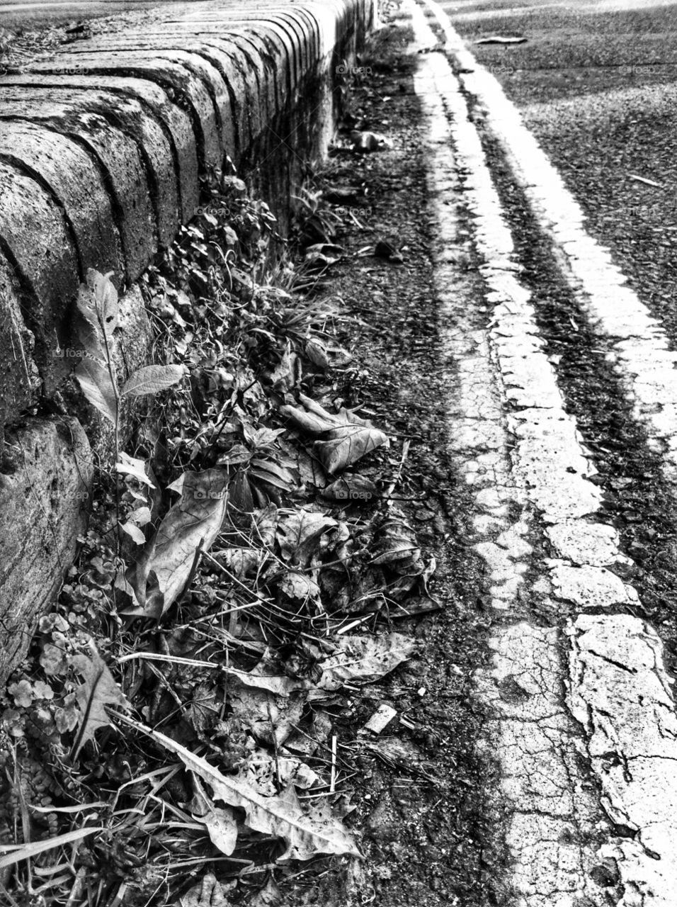 Close up of the side of the road in black and white.
