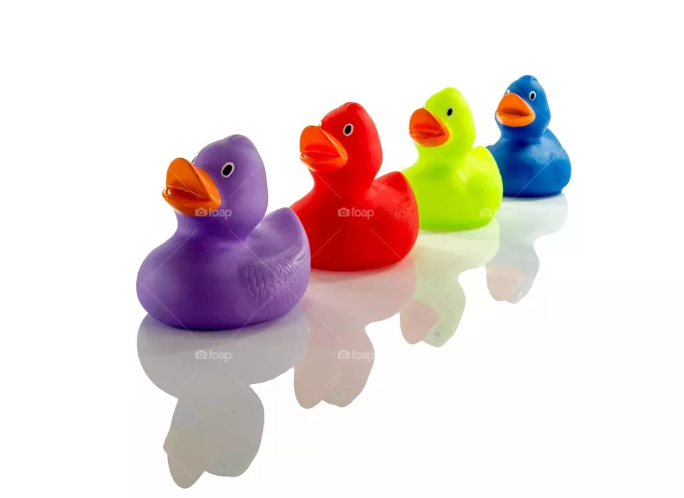ducks