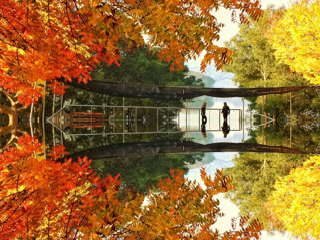 Reflection