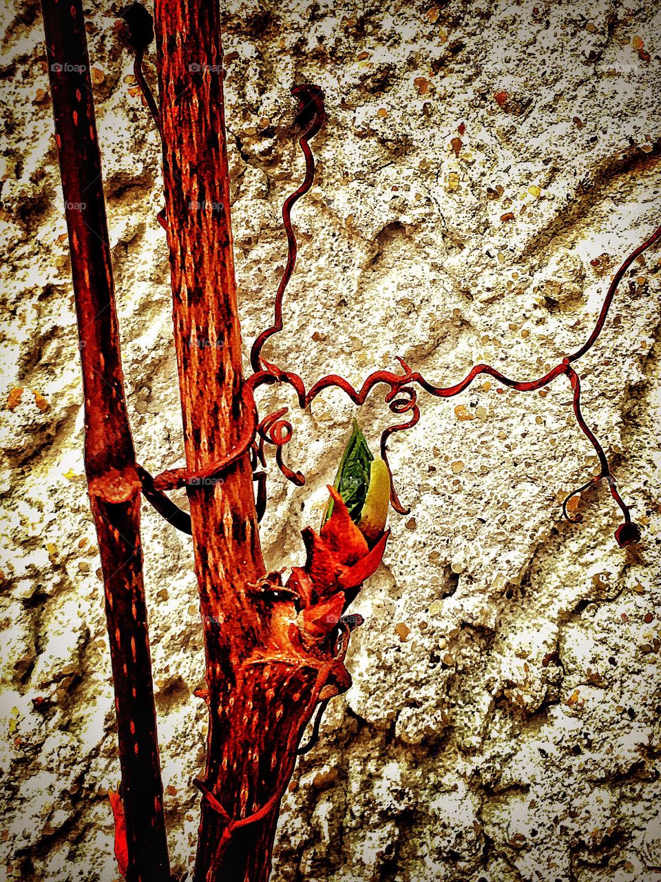 Captured with iPhone 6s Plus 