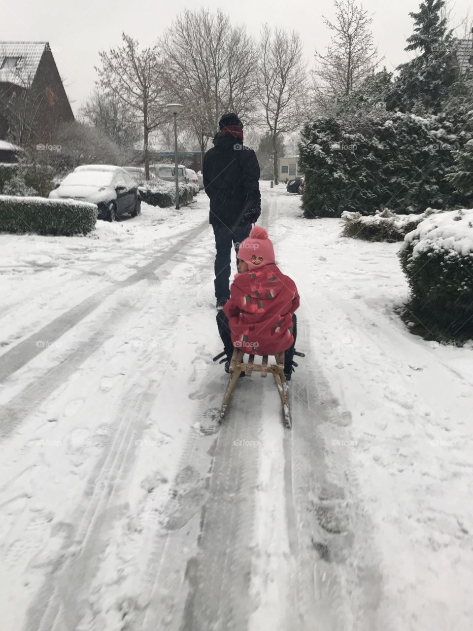 Snow, Winter, Cold, Sledge, Sled