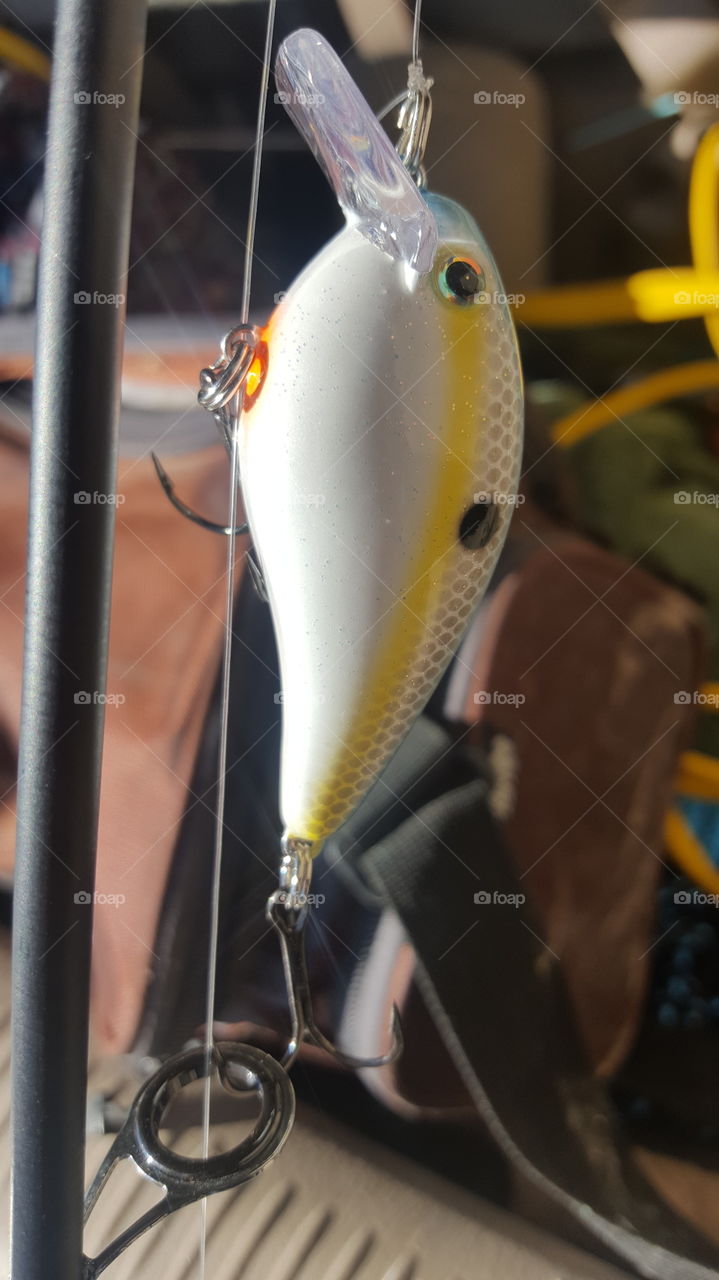 lure on a fishing pole.