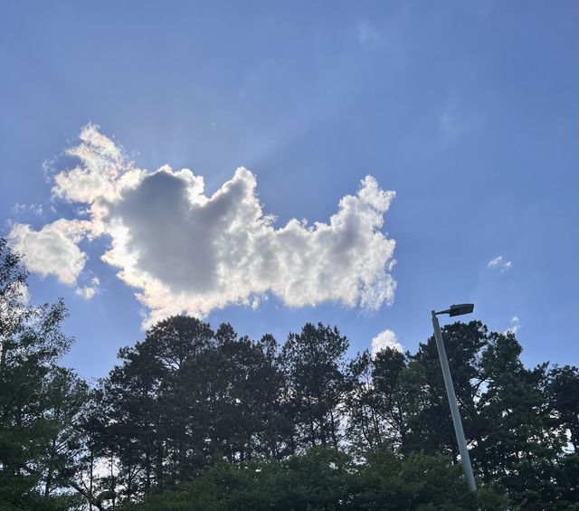 Angel’s in the sky 😇