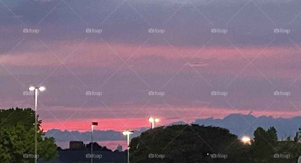 The end of the sunset at dusk illuminating the sky with pinks and purples. The trees frame the bottom of the photo. 