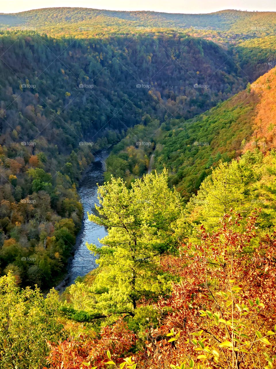 Leonard Harrison State Park
