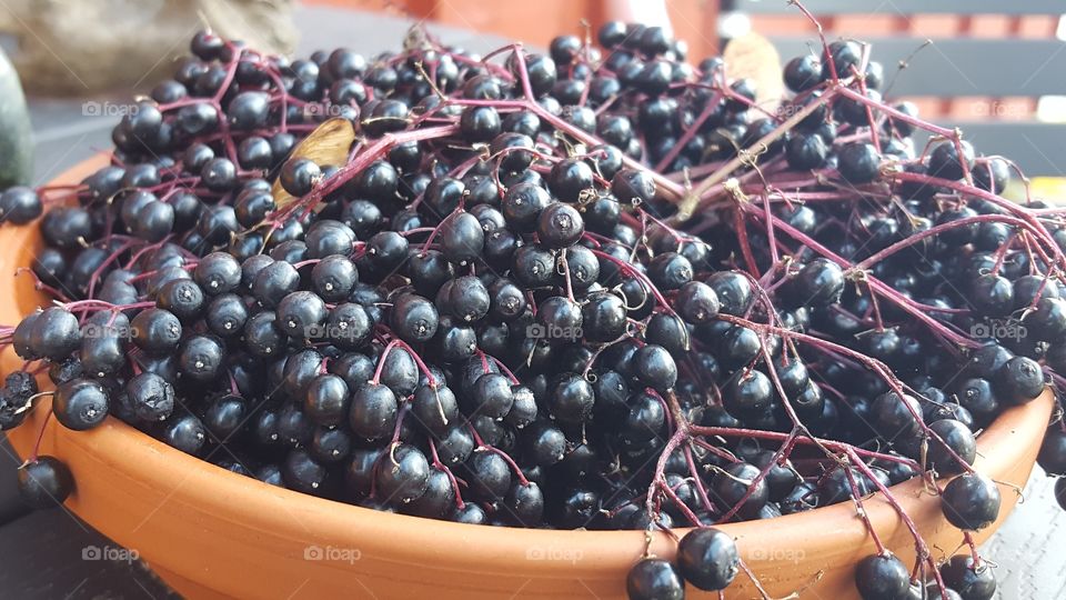 Elderberries