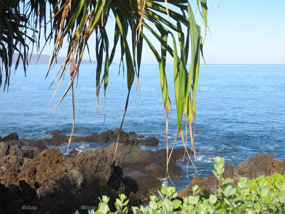 A stroll by the ocean