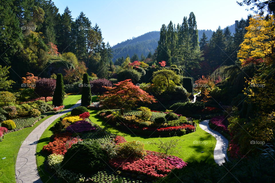 Butchart Gardens, Victoria BC British Columbia Canada, Island Garden Nursery Landscape