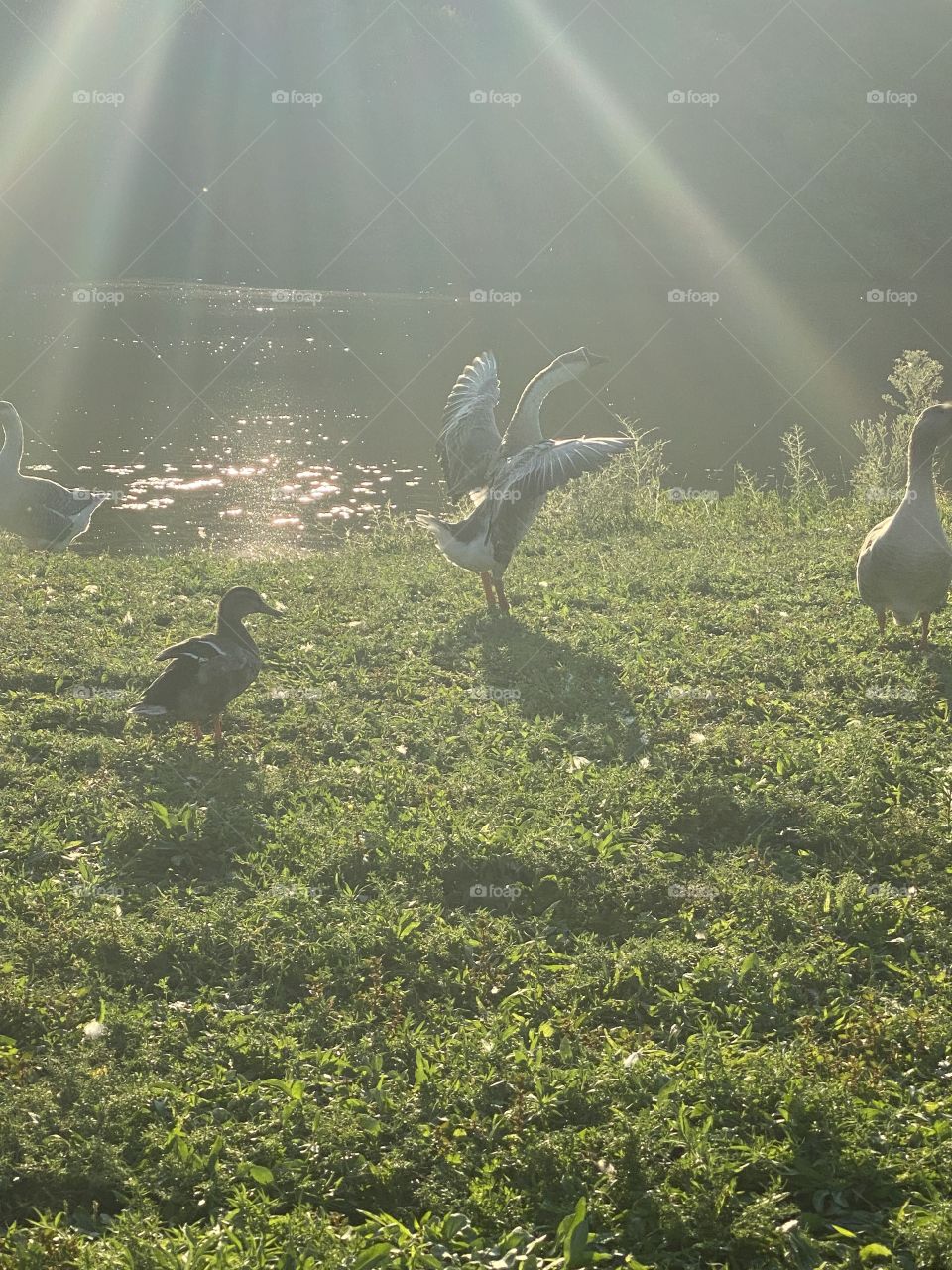 Dance as if no one’s watching 