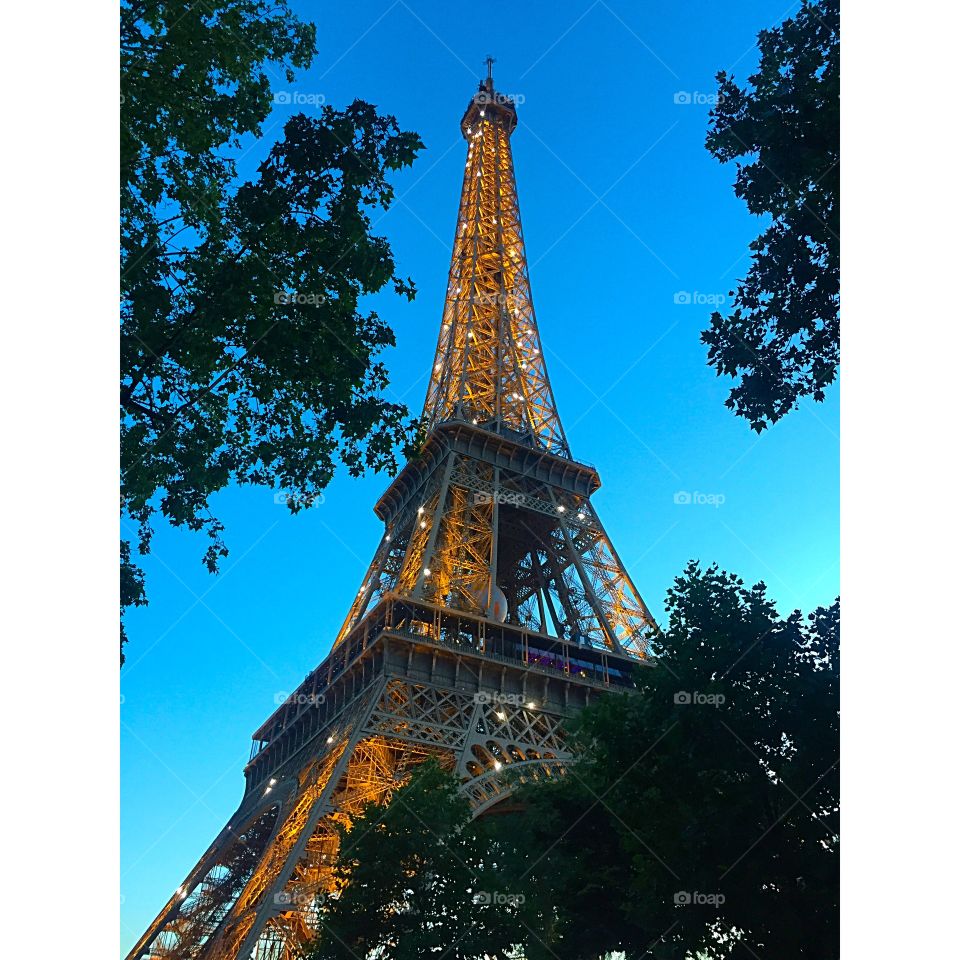 Eiffel Tower 