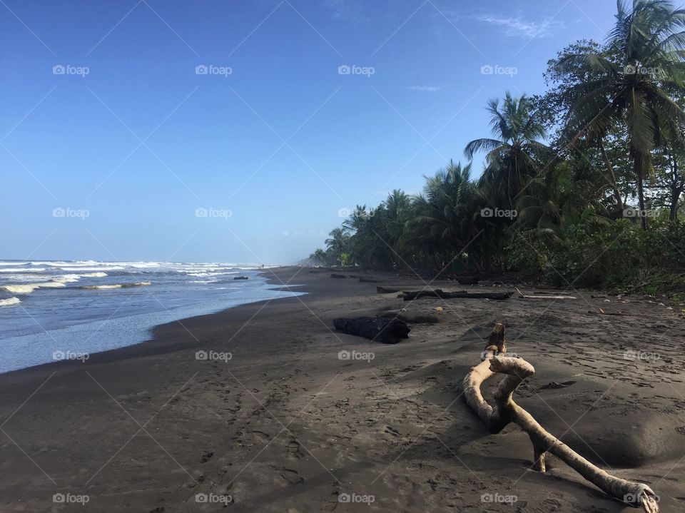 Black sands in paradise