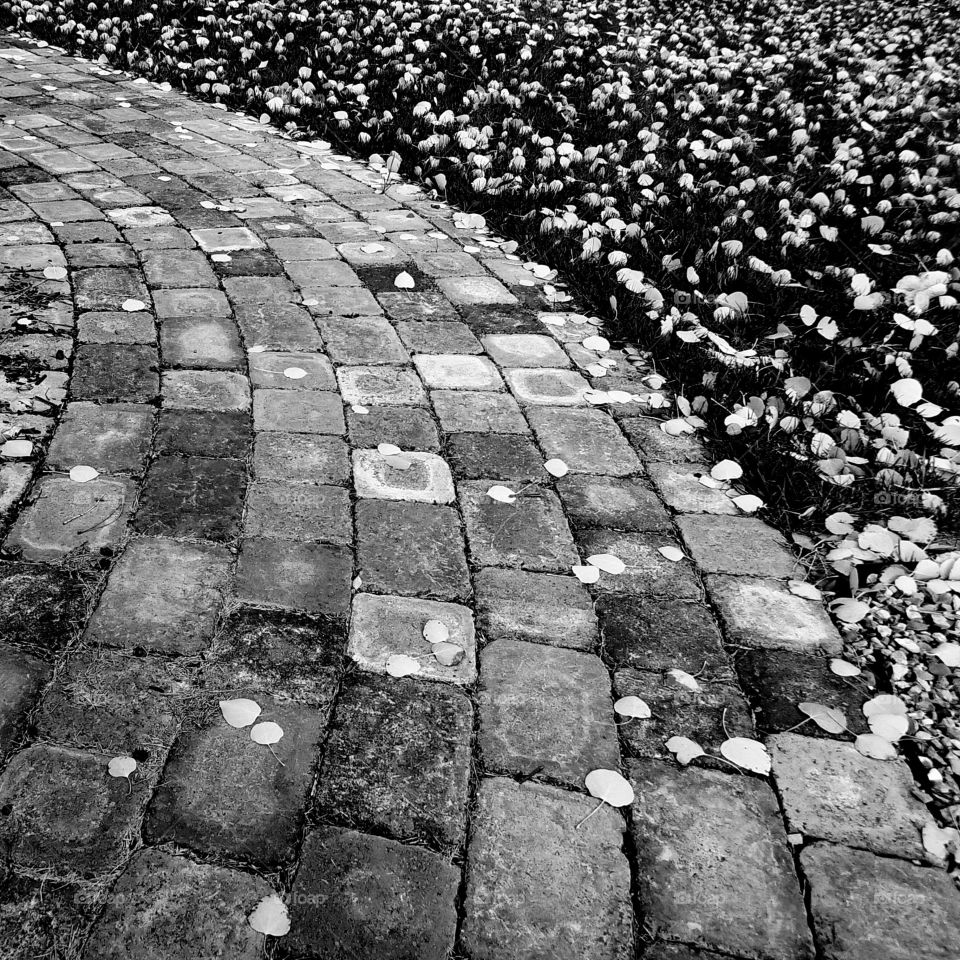 A brick path leads the way through fallen leaves in a park in Redmond, Oregon. 