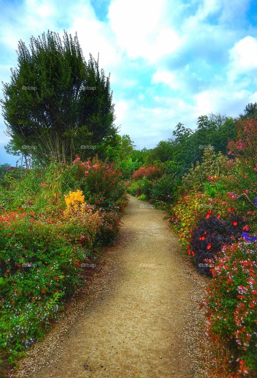 Garden France 