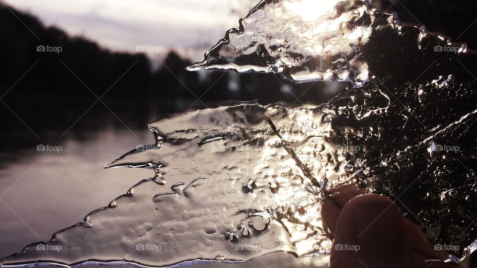 Random photo of a piece of ice from frozen pond, with a very blurry pond and tree line and sky in the background!! A park in Virginia is where it was taken!!