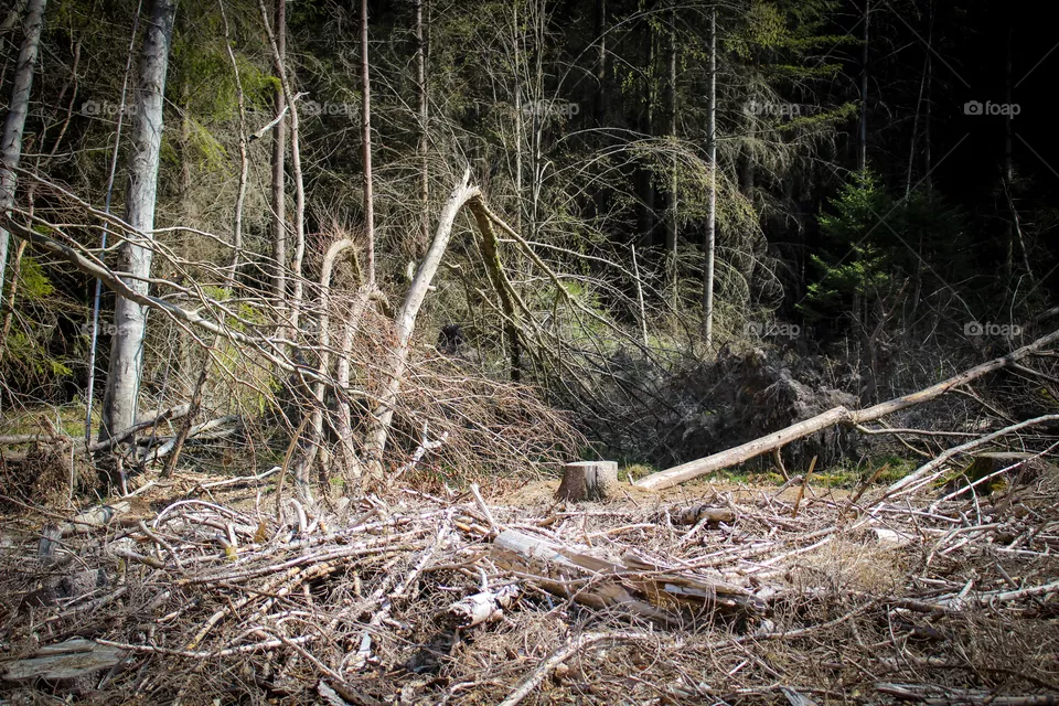 Klimawandel