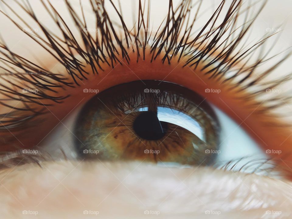 Eye macro 