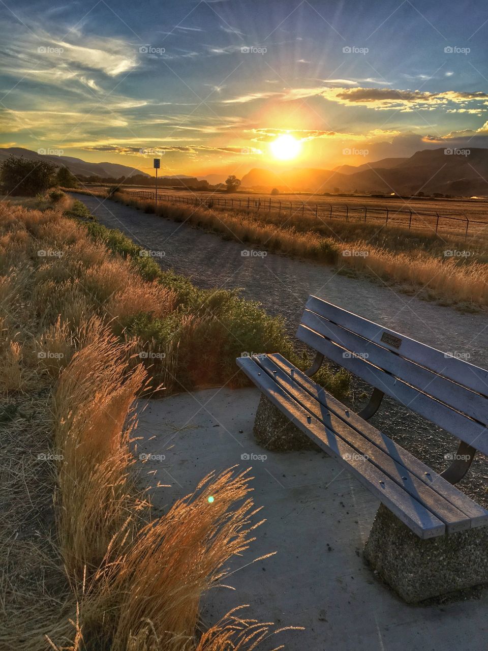 Beautiful evening for a walk! 
