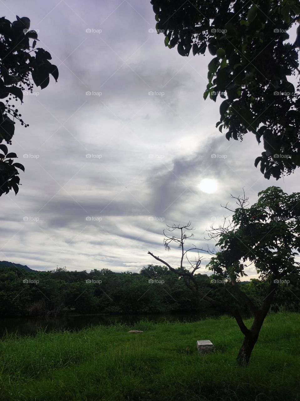 Forest park before big rain